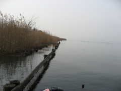 木の浜090222