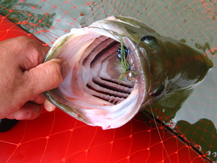 09080602.jpg