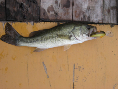 09090401.jpg