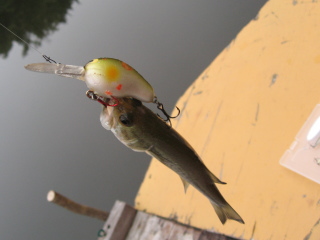 09090402.jpg