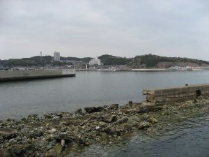 大井漁港