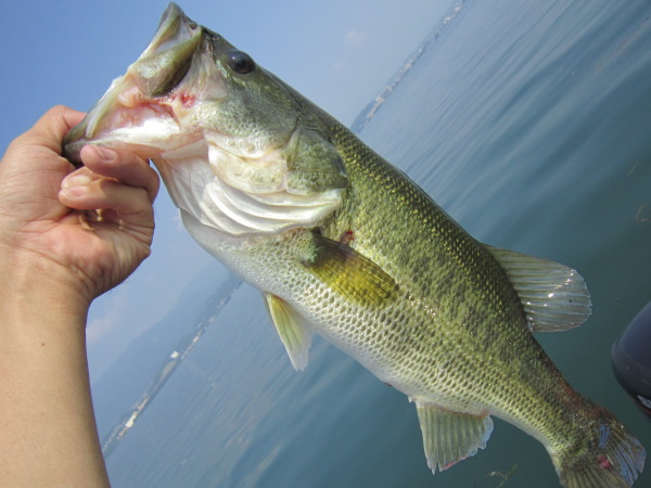 201207282.jpg