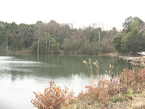 野池2